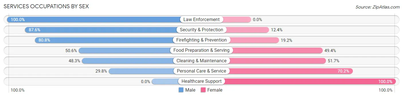 Services Occupations by Sex in Zip Code 48195