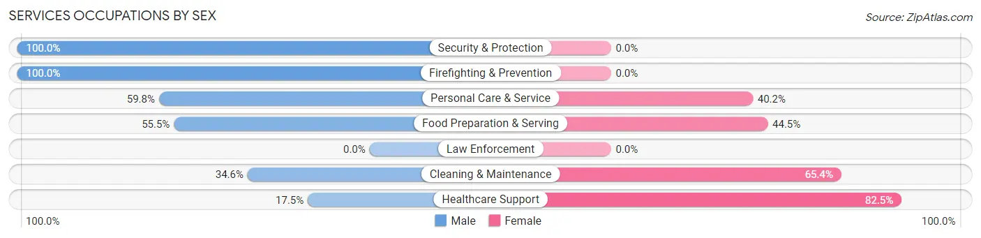 Services Occupations by Sex in Zip Code 48201