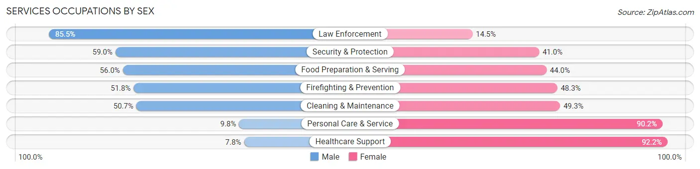 Services Occupations by Sex in Zip Code 48207