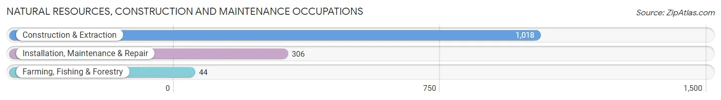 Natural Resources, Construction and Maintenance Occupations in Zip Code 48210