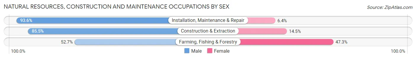 Natural Resources, Construction and Maintenance Occupations by Sex in Zip Code 48212