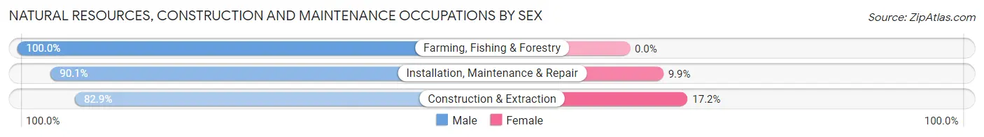 Natural Resources, Construction and Maintenance Occupations by Sex in Zip Code 48239