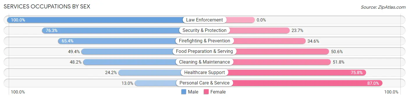Services Occupations by Sex in Zip Code 48307
