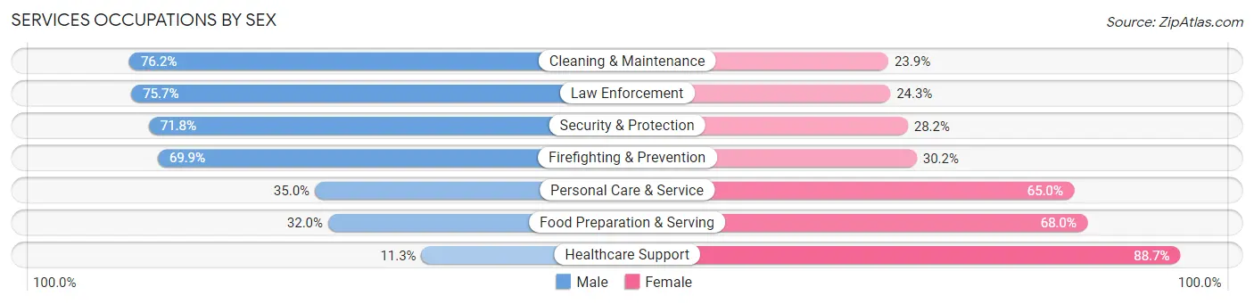 Services Occupations by Sex in Zip Code 48309