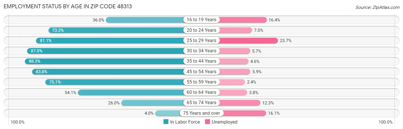Employment Status by Age in Zip Code 48313