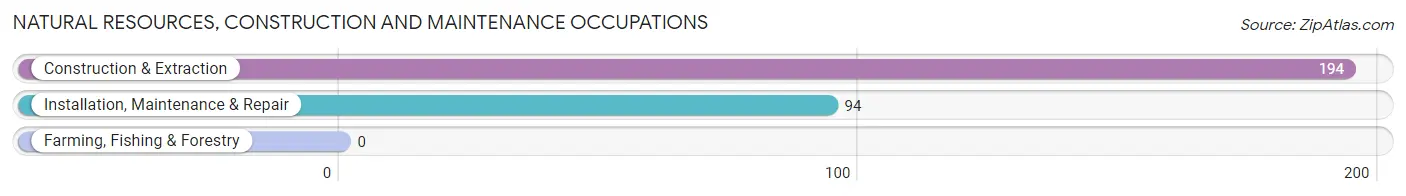 Natural Resources, Construction and Maintenance Occupations in Zip Code 48324