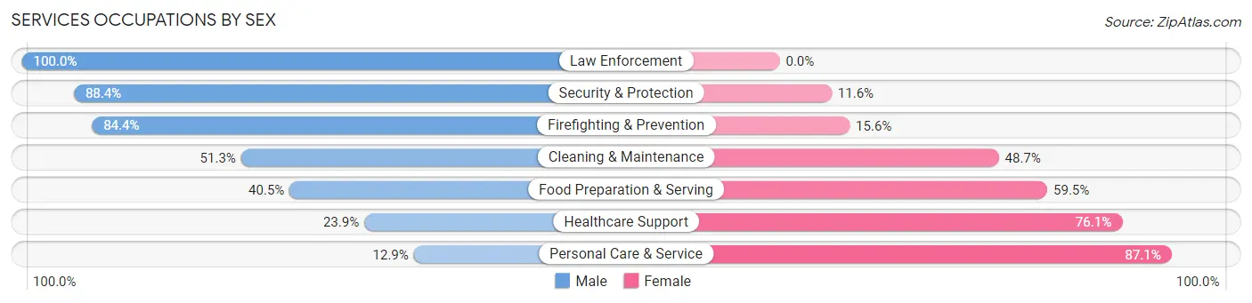 Services Occupations by Sex in Zip Code 48331