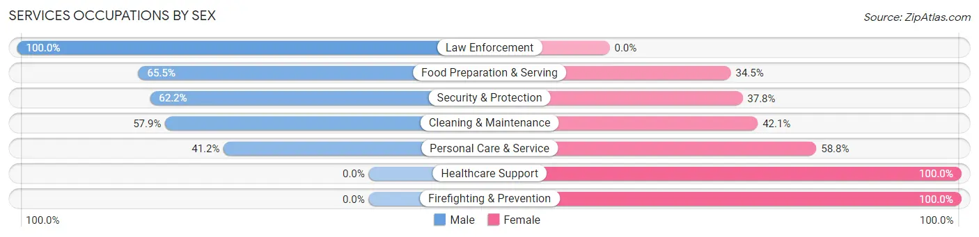 Services Occupations by Sex in Zip Code 48360