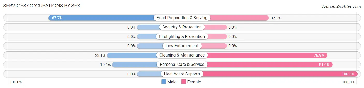 Services Occupations by Sex in Zip Code 48370