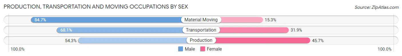Production, Transportation and Moving Occupations by Sex in Zip Code 48374
