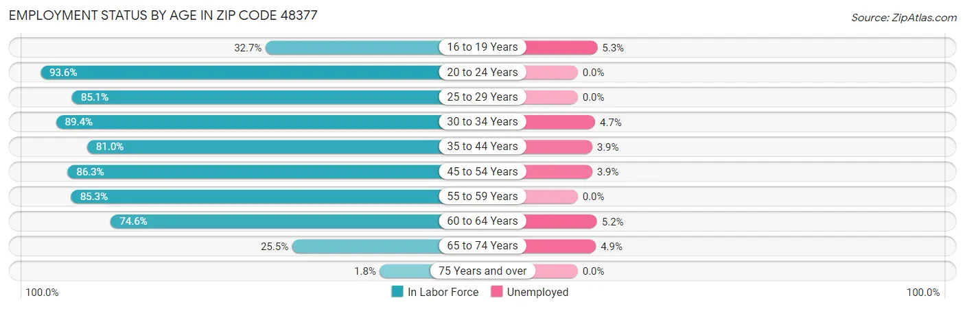 Employment Status by Age in Zip Code 48377