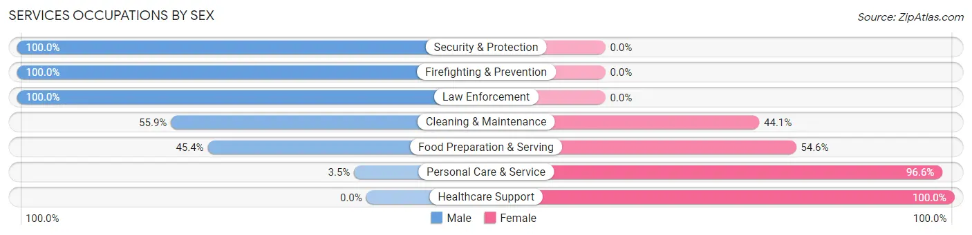 Services Occupations by Sex in Zip Code 48380