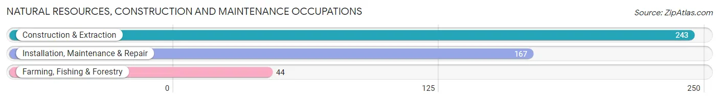 Natural Resources, Construction and Maintenance Occupations in Zip Code 48381