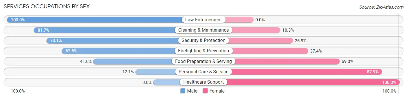 Services Occupations by Sex in Zip Code 48381