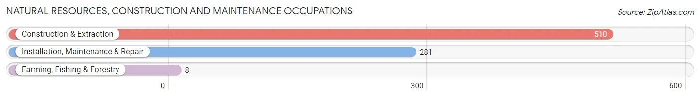 Natural Resources, Construction and Maintenance Occupations in Zip Code 48386