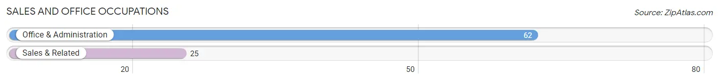 Sales and Office Occupations in Zip Code 48401