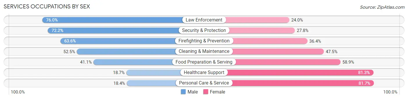 Services Occupations by Sex in Zip Code 48413