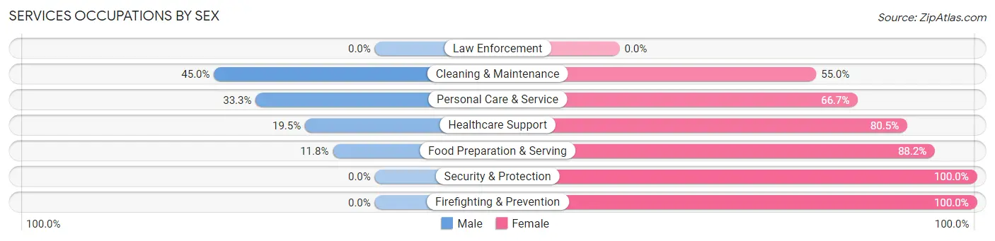 Services Occupations by Sex in Zip Code 48419