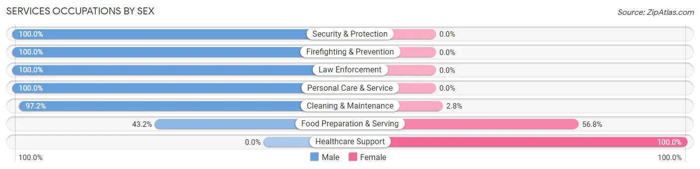 Services Occupations by Sex in Zip Code 48429
