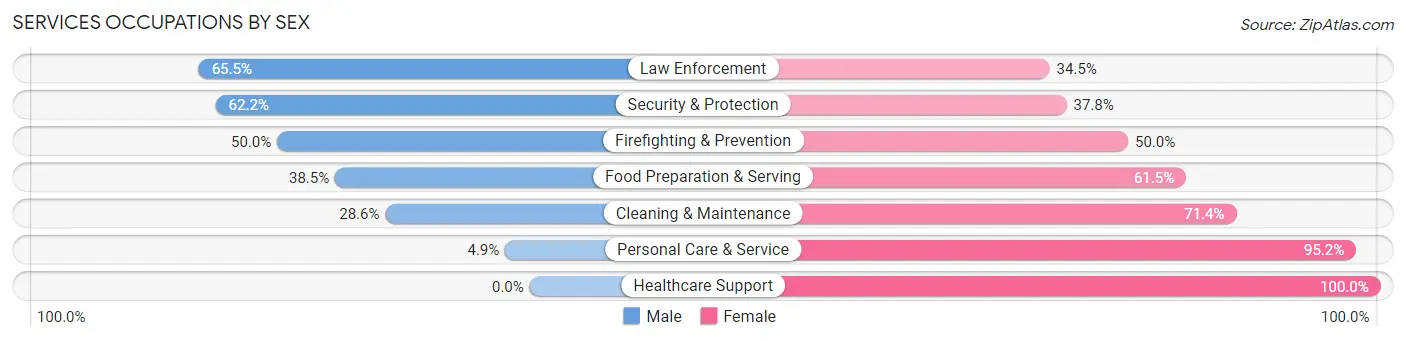 Services Occupations by Sex in Zip Code 48438