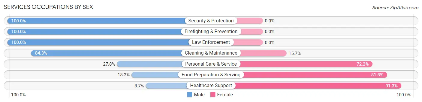 Services Occupations by Sex in Zip Code 48449