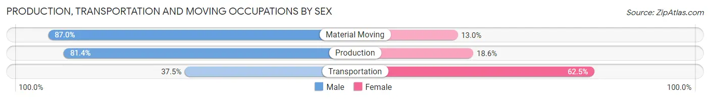 Production, Transportation and Moving Occupations by Sex in Zip Code 48450