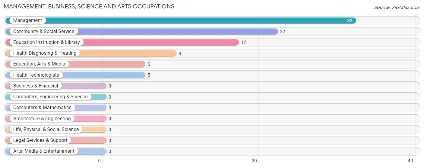 Management, Business, Science and Arts Occupations in Zip Code 48465