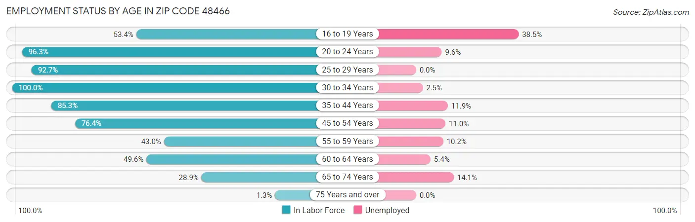 Employment Status by Age in Zip Code 48466