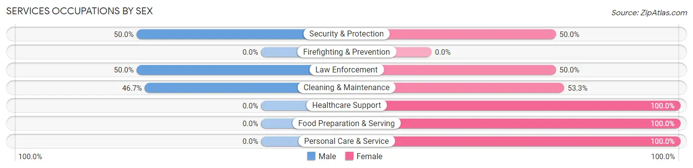 Services Occupations by Sex in Zip Code 48470