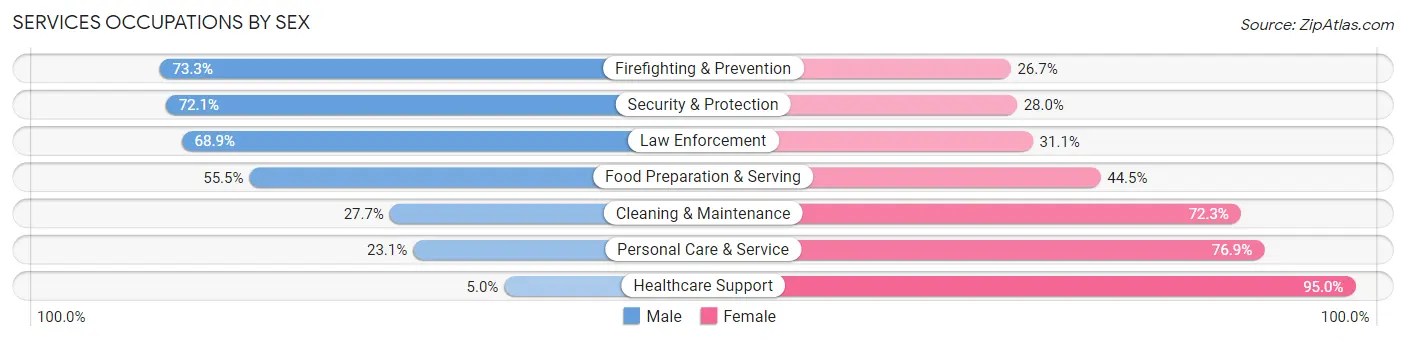 Services Occupations by Sex in Zip Code 48505