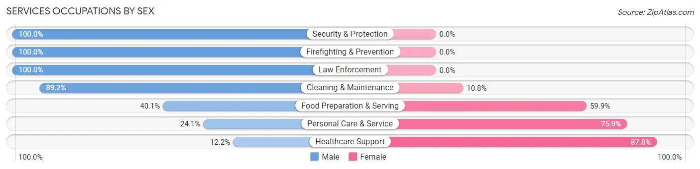 Services Occupations by Sex in Zip Code 48519