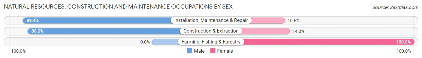 Natural Resources, Construction and Maintenance Occupations by Sex in Zip Code 48604
