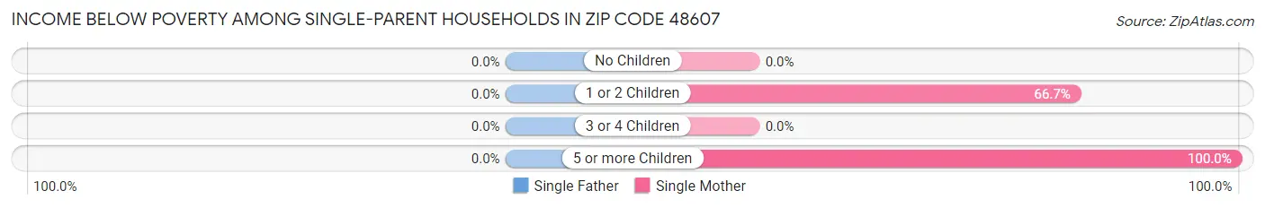Income Below Poverty Among Single-Parent Households in Zip Code 48607
