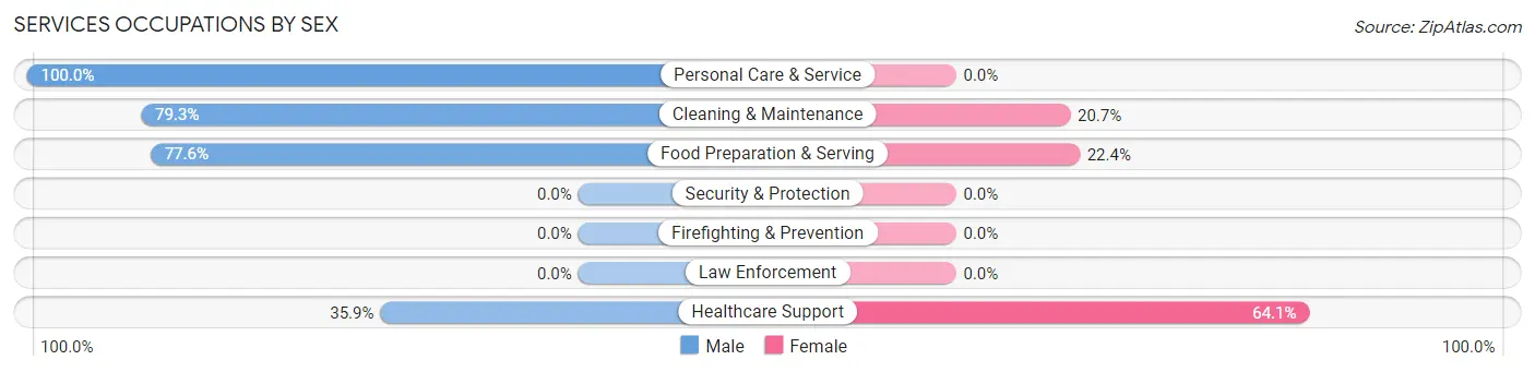 Services Occupations by Sex in Zip Code 48607