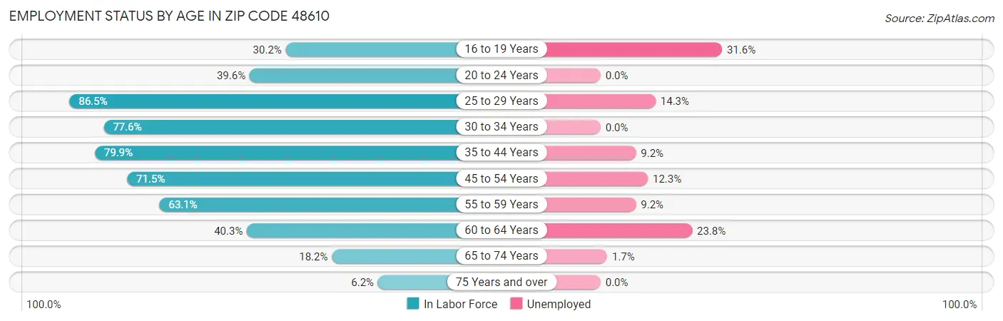Employment Status by Age in Zip Code 48610