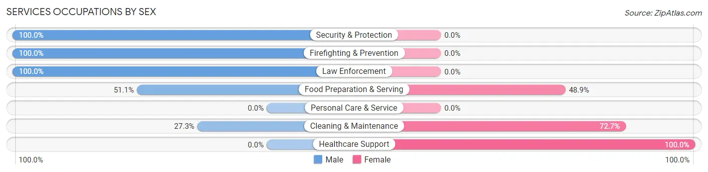 Services Occupations by Sex in Zip Code 48610