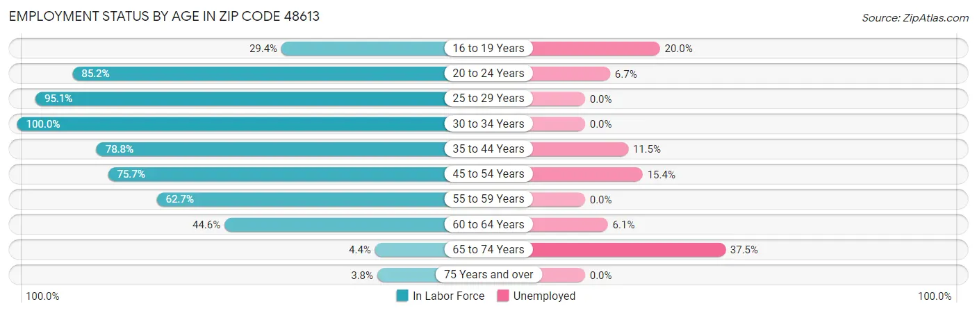 Employment Status by Age in Zip Code 48613