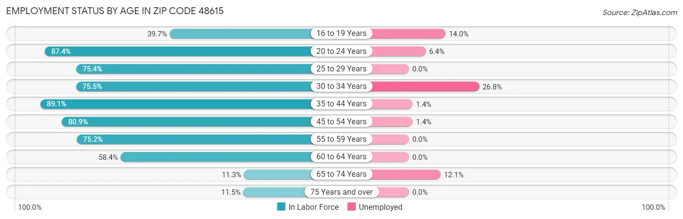 Employment Status by Age in Zip Code 48615