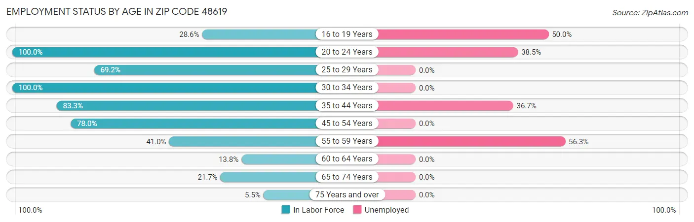 Employment Status by Age in Zip Code 48619