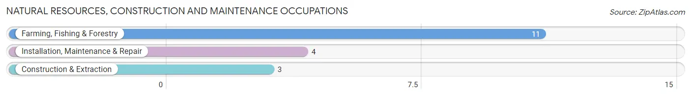 Natural Resources, Construction and Maintenance Occupations in Zip Code 48619