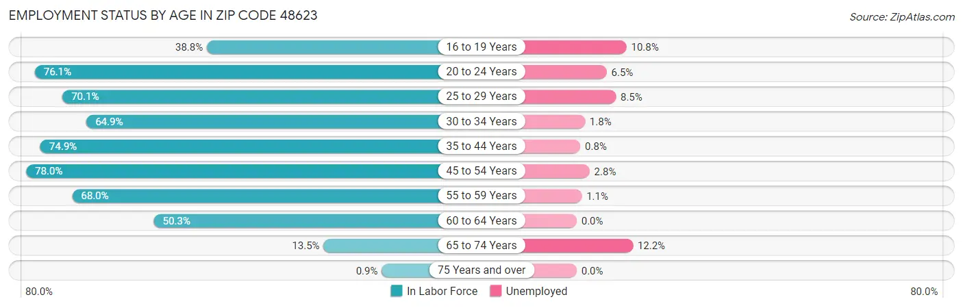 Employment Status by Age in Zip Code 48623
