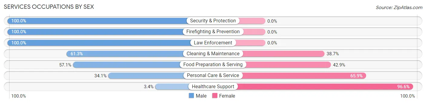 Services Occupations by Sex in Zip Code 48623