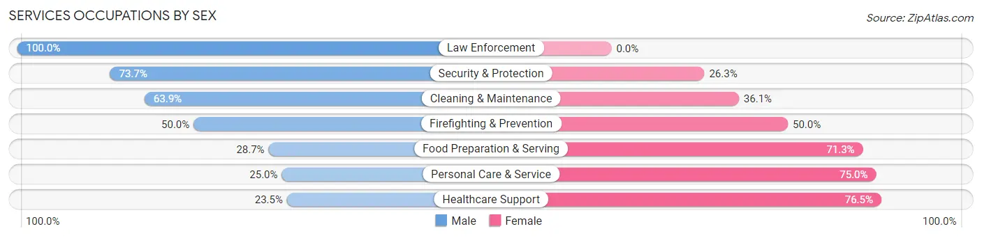 Services Occupations by Sex in Zip Code 48632