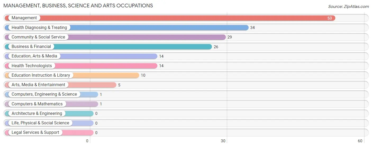 Management, Business, Science and Arts Occupations in Zip Code 48649