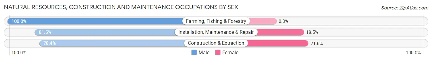 Natural Resources, Construction and Maintenance Occupations by Sex in Zip Code 48649
