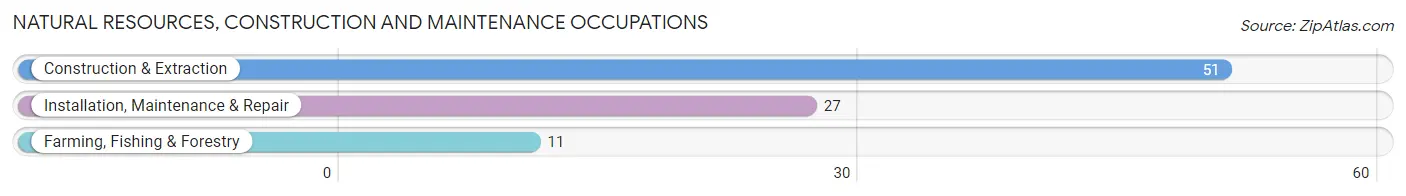 Natural Resources, Construction and Maintenance Occupations in Zip Code 48649