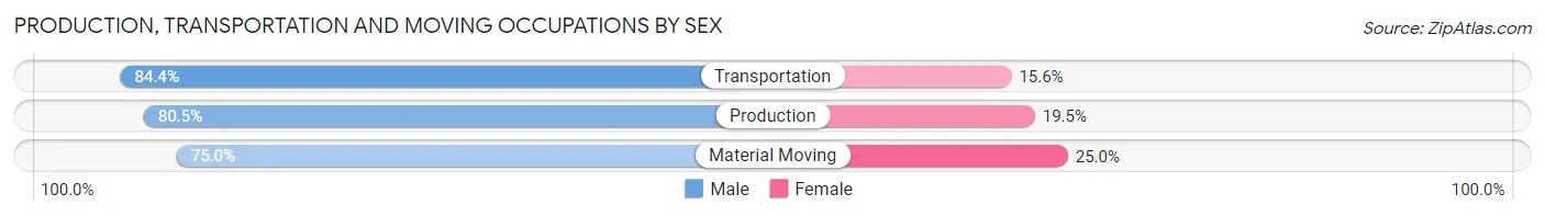 Production, Transportation and Moving Occupations by Sex in Zip Code 48653