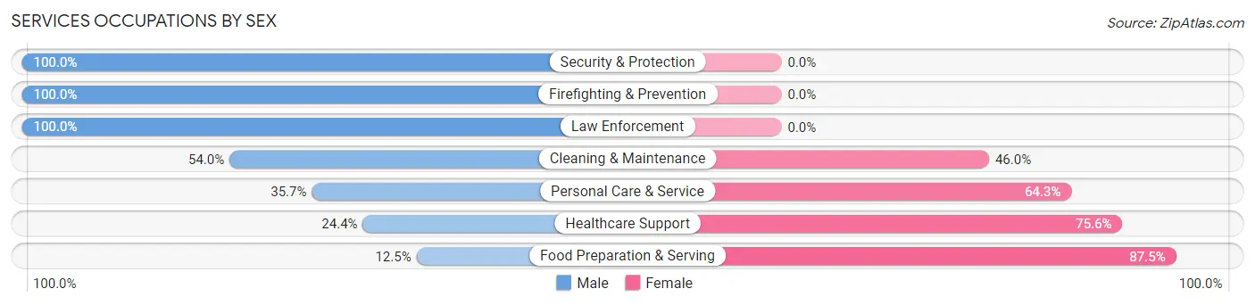 Services Occupations by Sex in Zip Code 48654