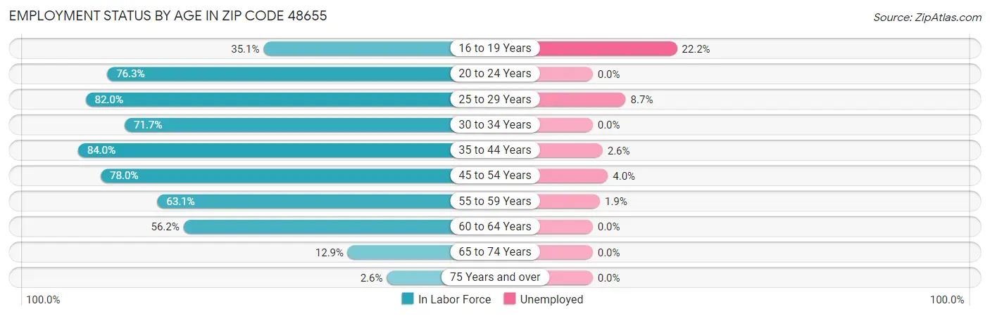 Employment Status by Age in Zip Code 48655