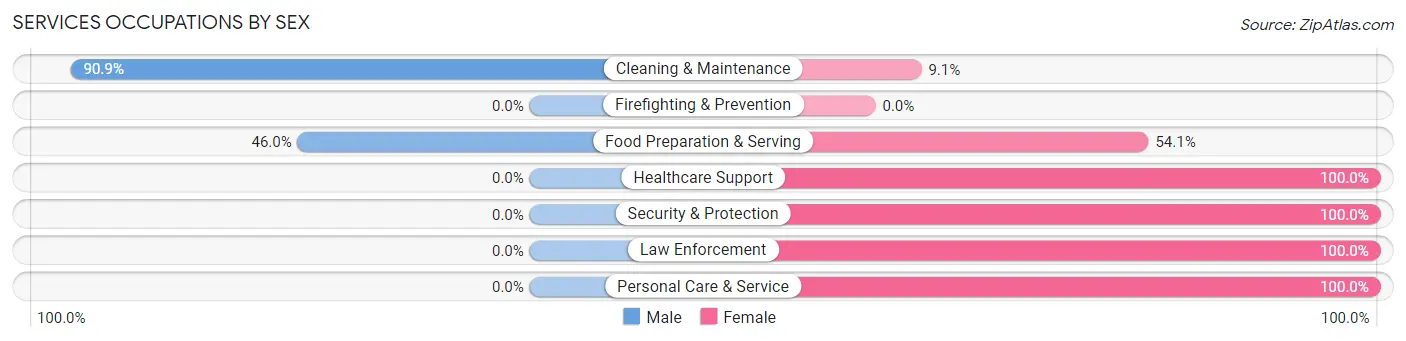 Services Occupations by Sex in Zip Code 48656